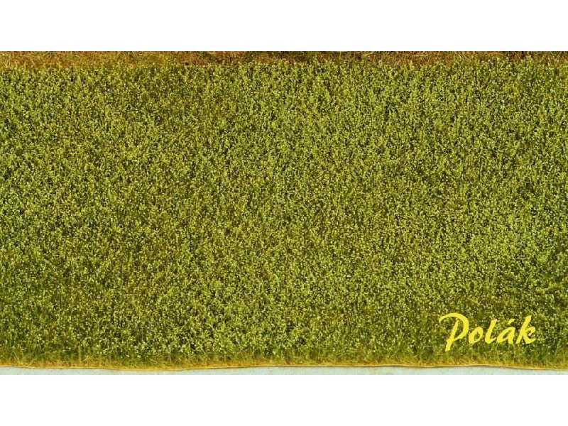 Poppy field - green - image 1