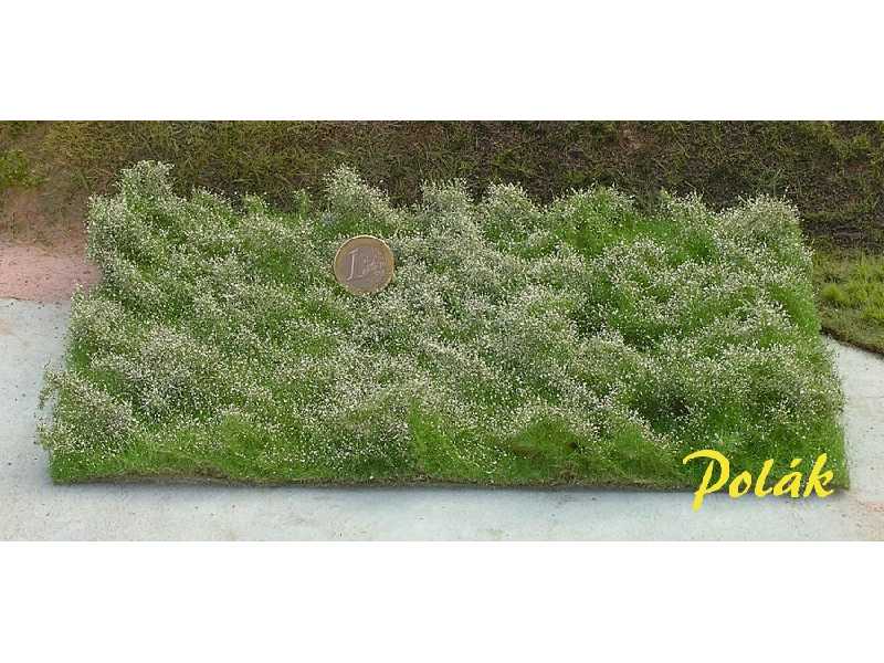 Wild bushes - white - image 1