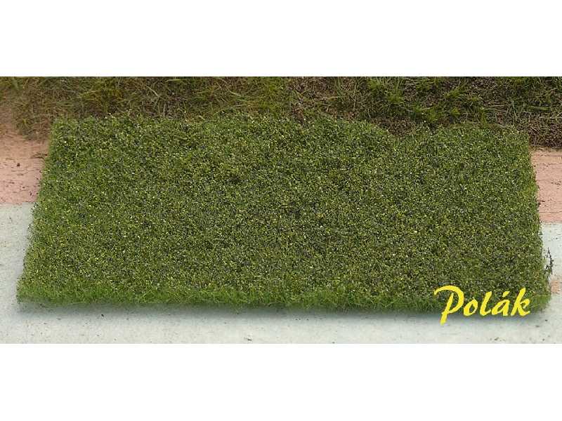 Bilberry - image 1 Bilberry - image 1