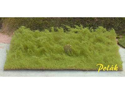 Tall grass - light green - image 1