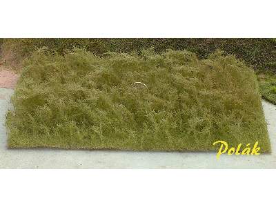 Tall grass - dry grass - image 1