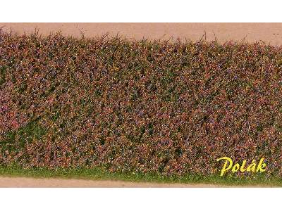 Flower meadow - red-blue - image 1