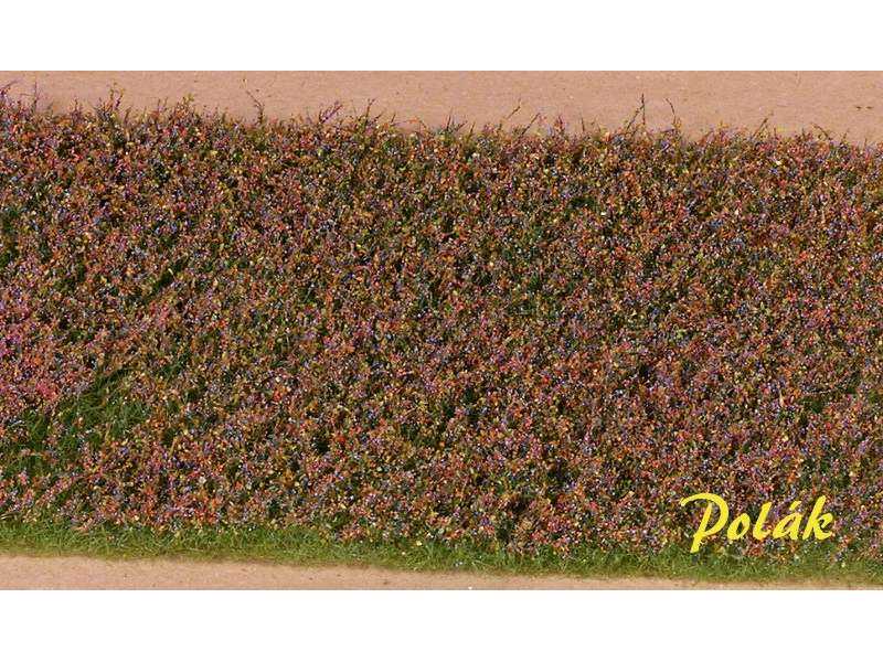 Flower meadow - red-blue - image 1 Flower meadow - red-blue - image 1