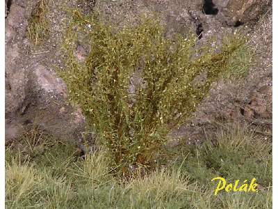 High bushes - micro leaves - green savanna - image 1