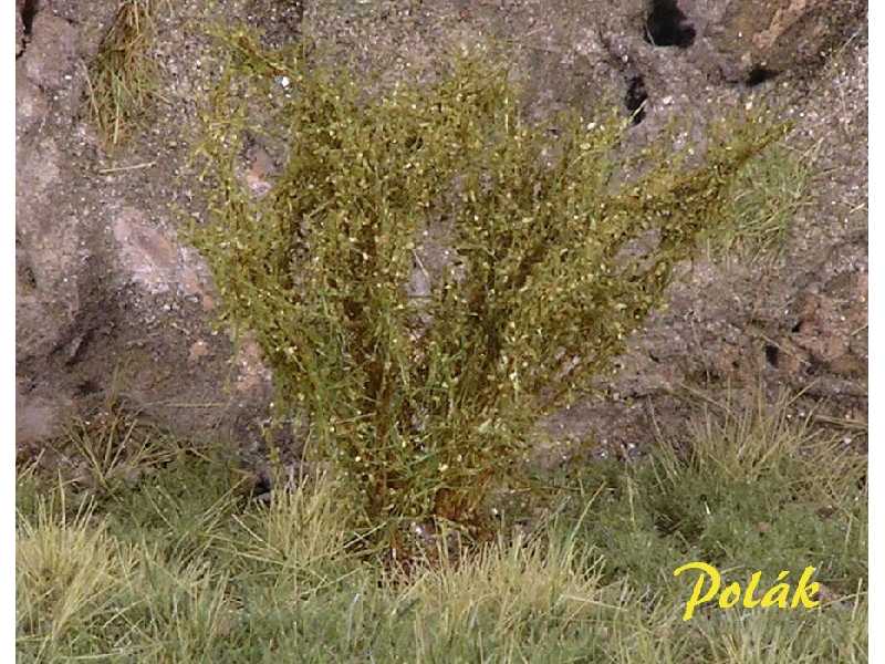 High bushes - micro leaves - green savanna - image 1