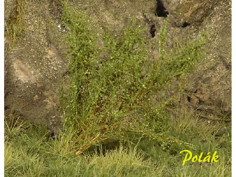 High bushes - micro leaves - medium green - image 1