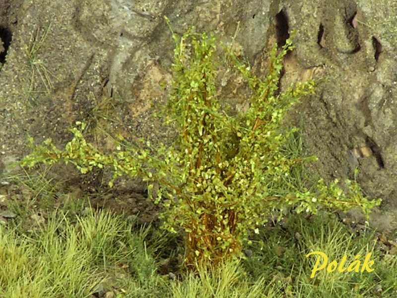 High bushes - fine leaves - light green - image 1