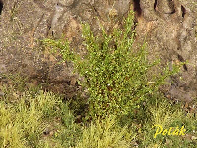 High bushes - fine leaves - green birch - image 1