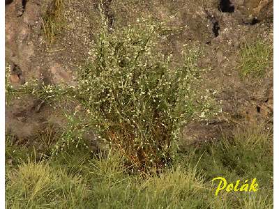 High bushes - micro leaves - green willow - image 1