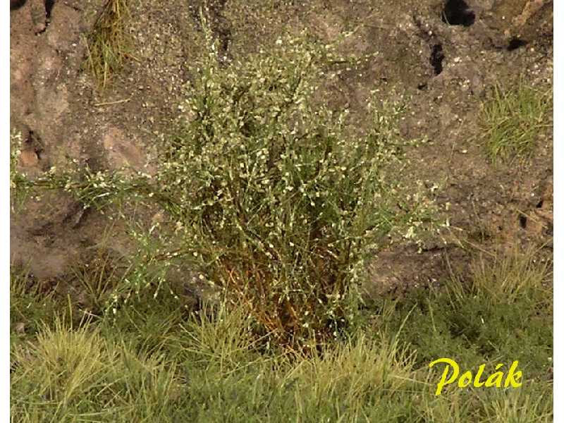 High bushes - micro leaves - green willow - image 1