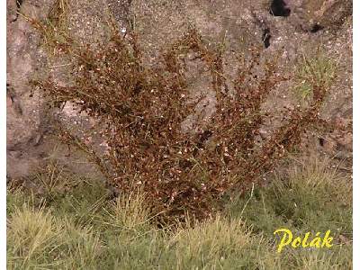 High bushes - micro leaves - brown - image 1