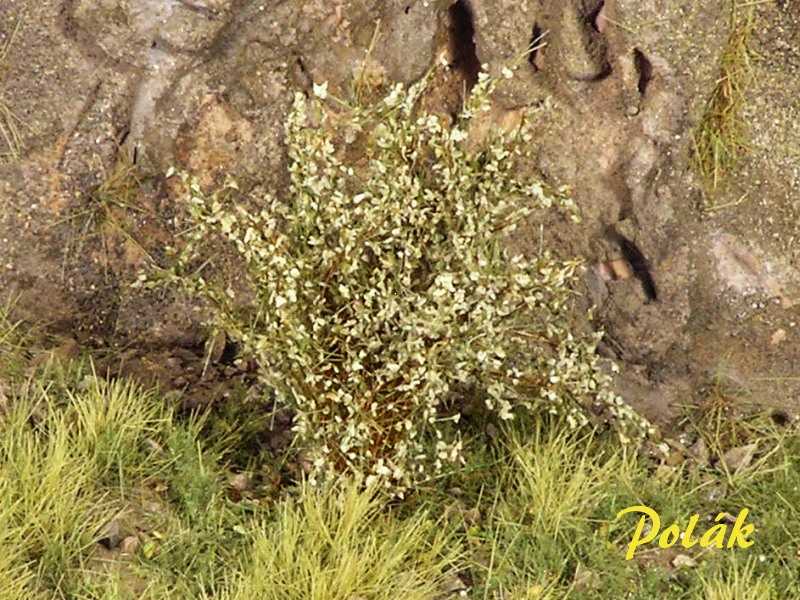 High bushes - fine leaves - green willow - image 1