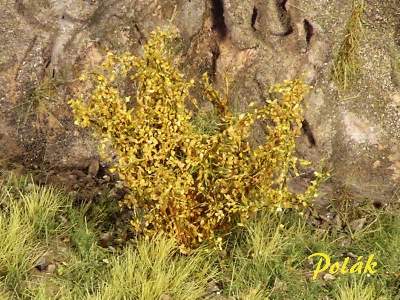 High bushes - fine leaves - ochre - image 1