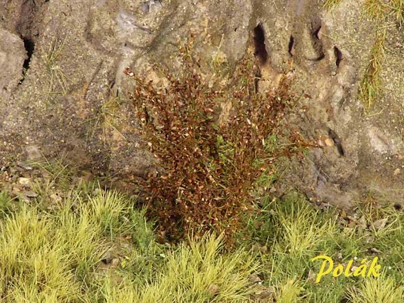 High bushes - fine leaves - brown - image 1