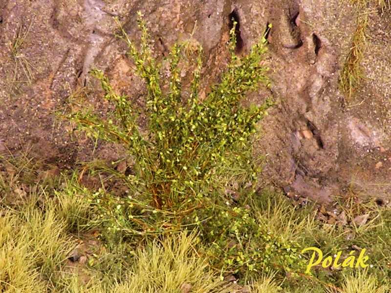 High bushes - fine leaves - green mix - image 1