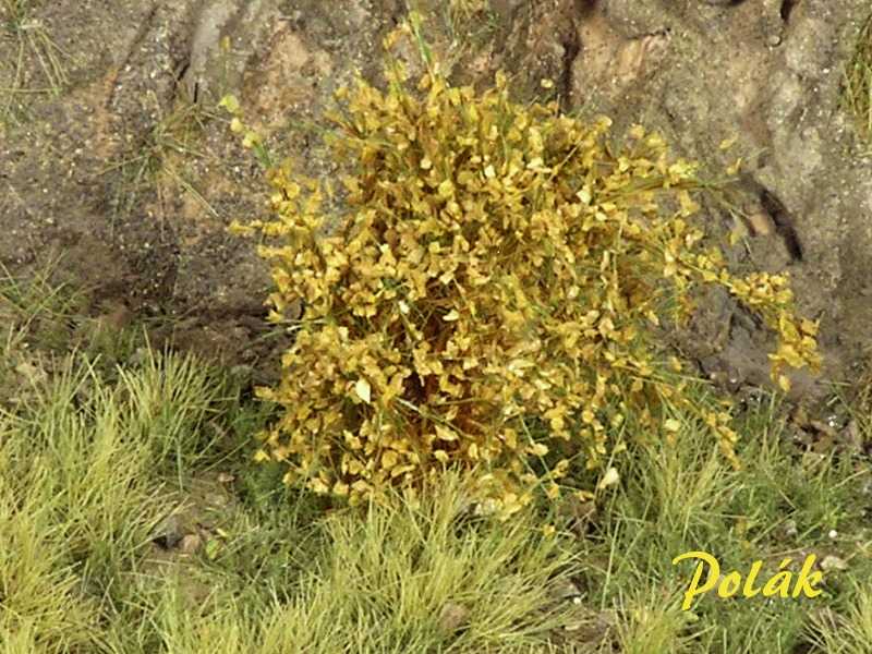 High bushes - medium leaves - ochre - image 1