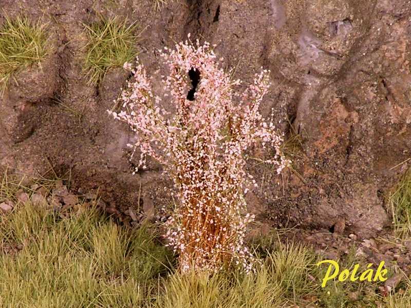 High bushes - Flowering - Pink - image 1