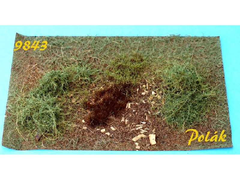Forest clearing - variant C - image 1 Forest clearing - variant C - image 1