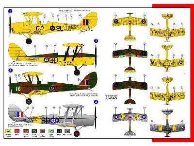 De Havilland D82A - Tiger Moth - RAF - image 2
