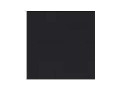  Black MC169 paint - image 1