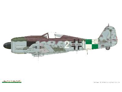Fw 190A-9 1/48 - image 2