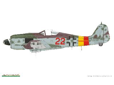 Fw 190A-9 1/48 - image 3