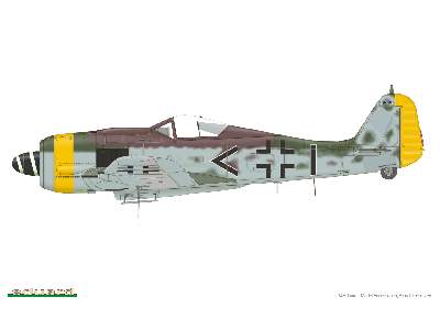 Fw 190A-9 1/48 - image 4