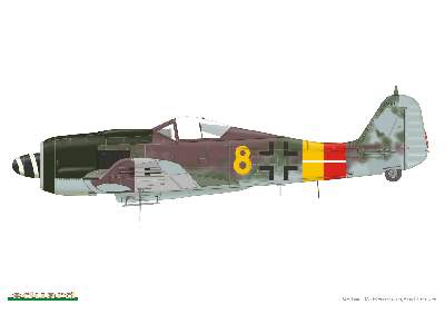 Fw 190A-9 1/48 - image 6