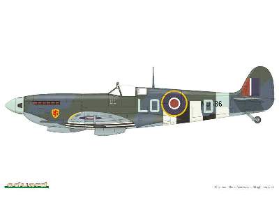 Spitfire Mk. IXc late version 1/48 - image 6