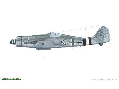 Fw 190D-9 1/48 - image 2