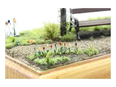 PLANTS I.  Temperate zone / garden 1/35 - image 2