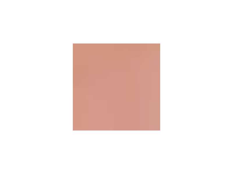  Skin Tone - paint - image 1