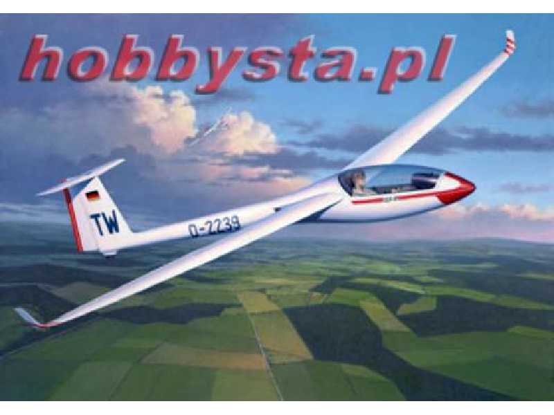 Glider Plane LS8-a - image 1