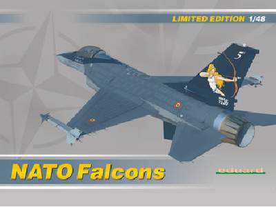 NATO Falcons 1/48 - image 1