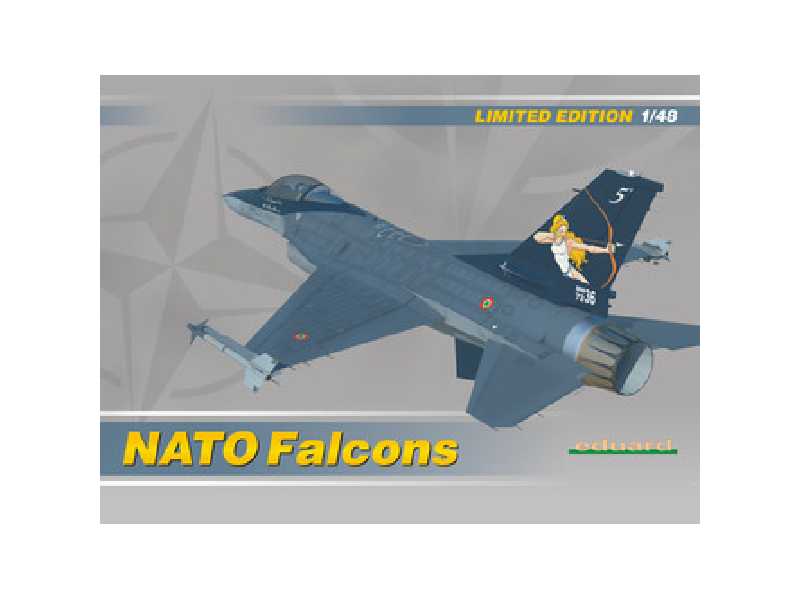 NATO Falcons 1/48 - image 1