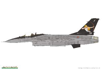 NATO Falcons 1/48 - image 2