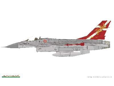 NATO Falcons 1/48 - image 5