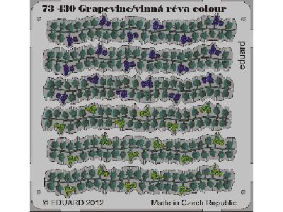 Grapevine colour 1/72 - image 1