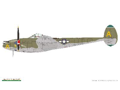 Pacific Lightnings 1/48 - image 6