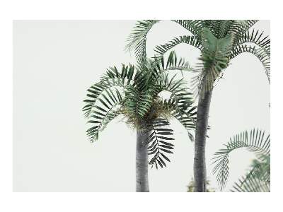 Leaves Palm Howea Belmoreana 1/72 - image 3