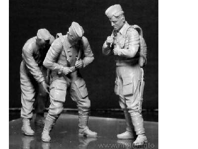 Pilots of Luftwaffe - WWII era - image 3