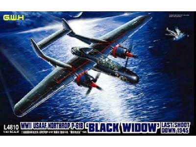 USAF Northrop P-61B Black Widow Last Shoot Down 1945 - image 1