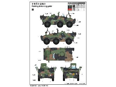 Italian PUMA 6×6 - image 4