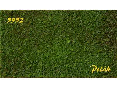 STRUKTURSTAT fine - Green Meadow - image 1