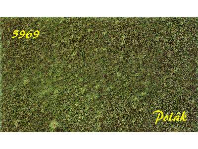 STRUKTURSTAT rough - Dry Grass - image 1