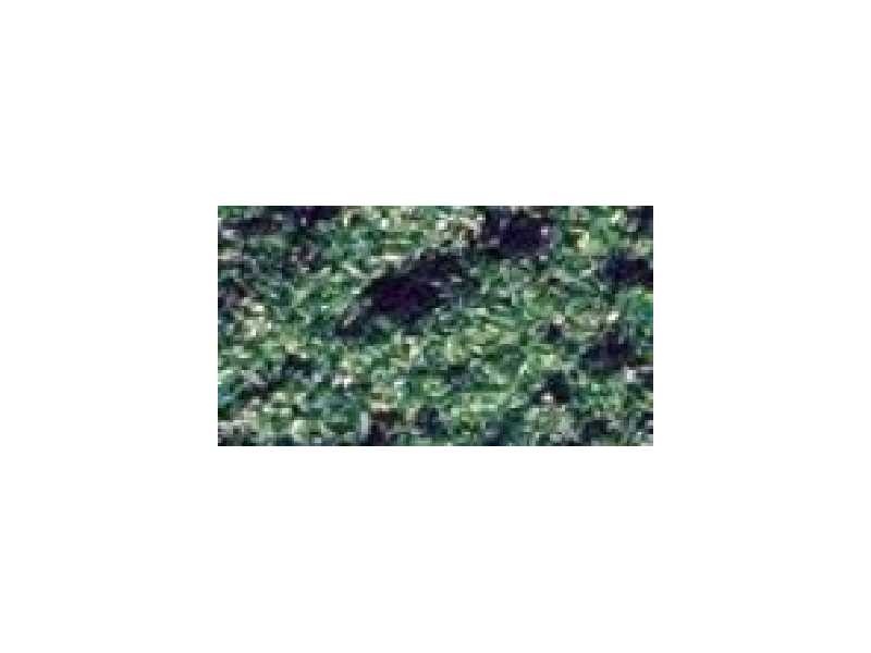 Posypka zielen wiosenna - 45 g - image 1