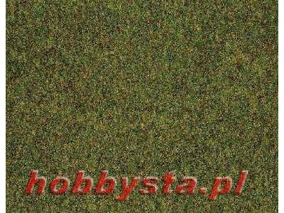 Mata ciemno-zielona - 40 x 29,5 cm - 2 sztuki - image 1
