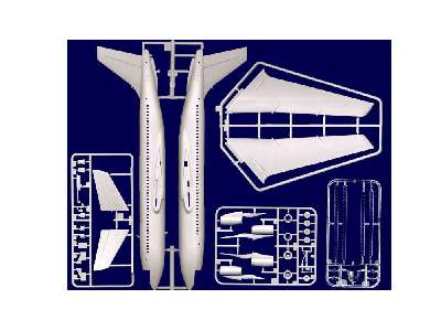 Boeing 720 "Caesar's Chariot" Led Zeppelin - image 2