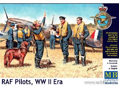 RAF Pilots - WWII era - image 1