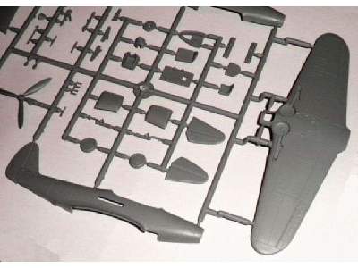 XFL-1 Airabonita - image 3